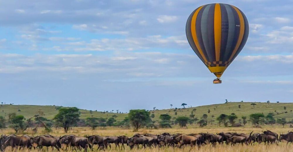 3 Days Serengeti and Lake Manyara1
