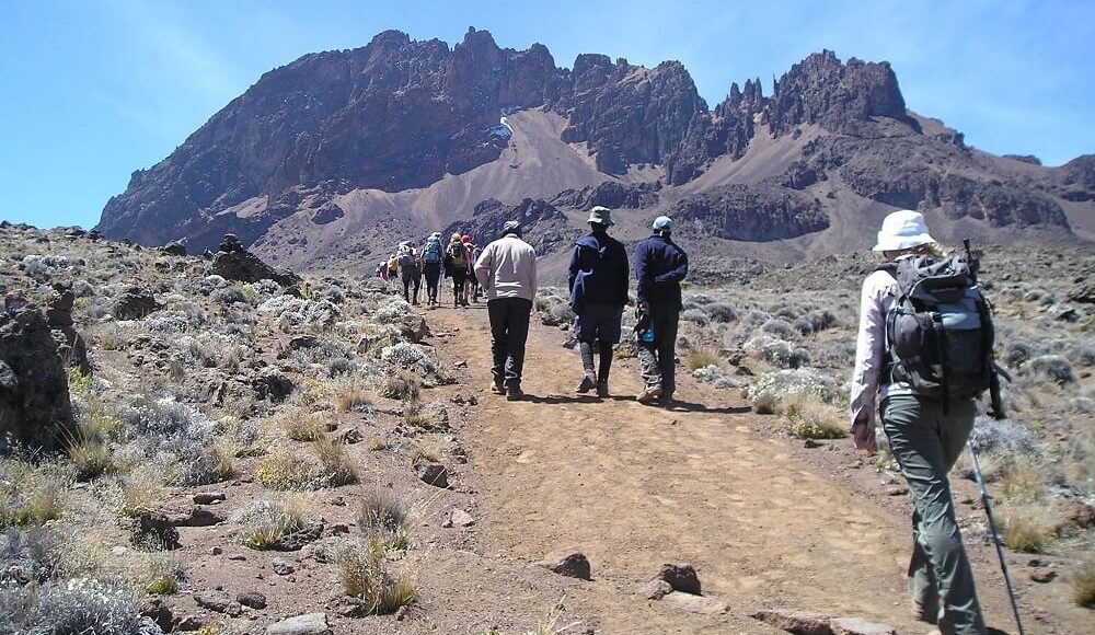 8 Days Lemosho Route African Explorer3