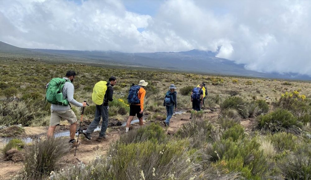 8 Days Lemosho Route African Explorer4